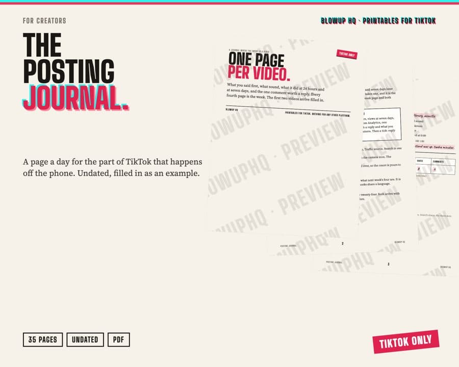 The Posting Journal